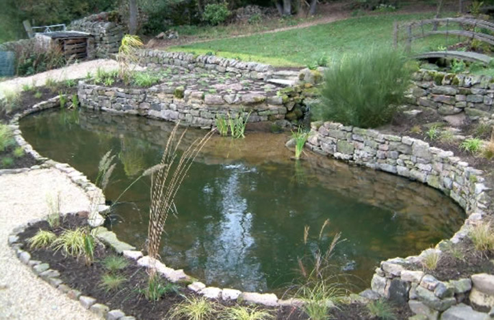 Large Natural Pond, Stream & Waterfalls - Olive Garden Design and ...